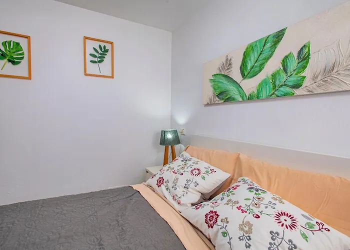 Eureka Tenerife * Arona (Tenerife)