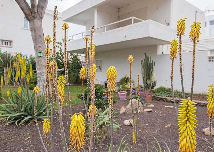 Apartamento Eureka Tenerife