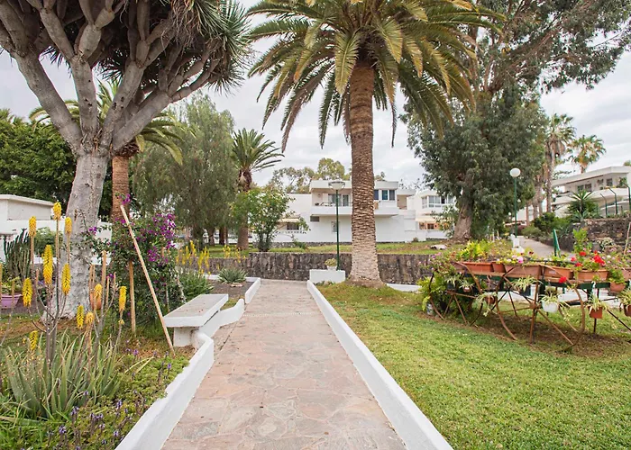 Eureka Tenerife Arona (Tenerife)