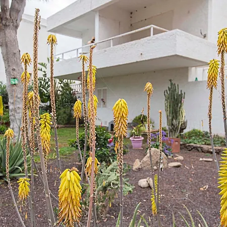 Apartman Eureka Tenerife